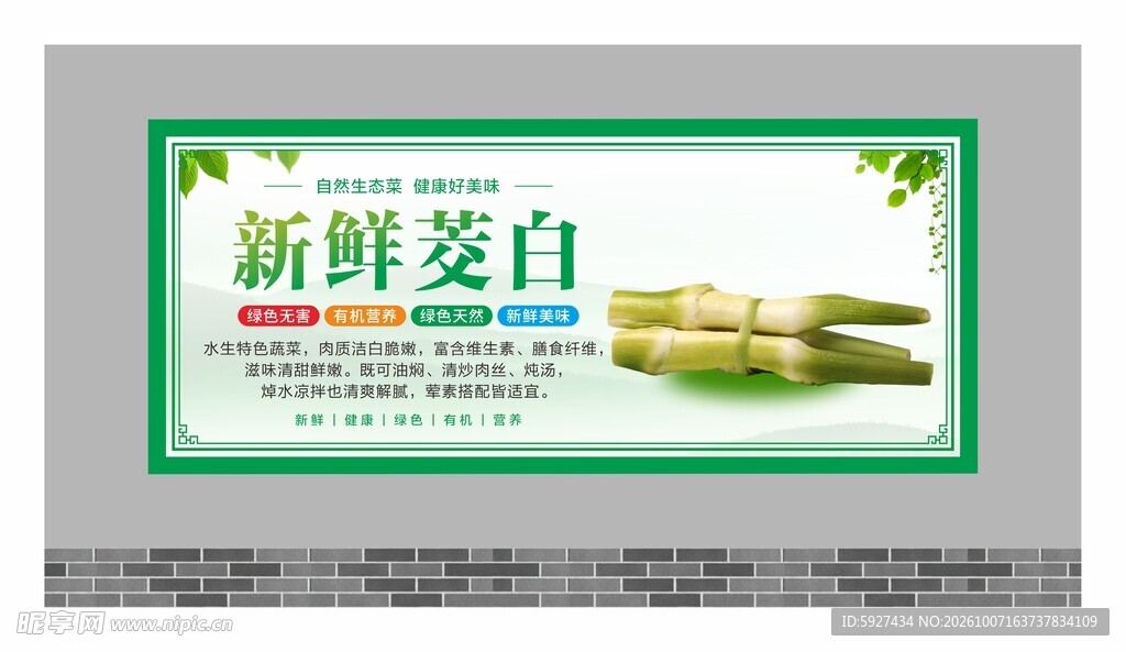 蔬菜展板