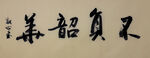 不负韶华 杨克东书法作品