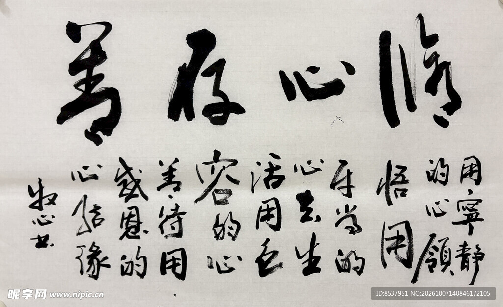 修心存善 杨克东书法作品