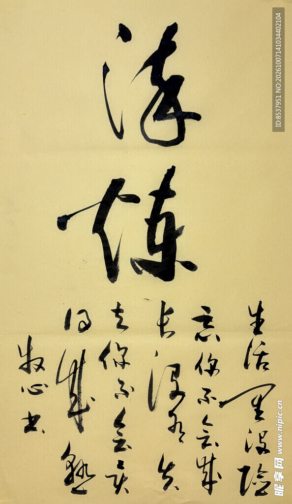 淬练 杨克东书法作品