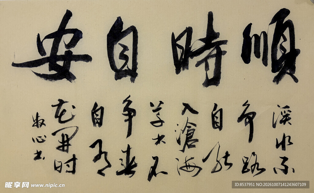 顺时自安 杨克东书法作品