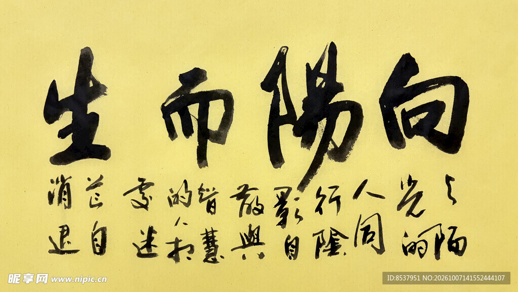 向阳而生 杨克东书法作品