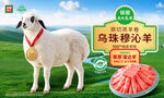 乌珠穆沁羊宣传海报