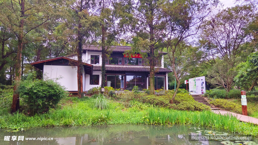 林间临水小屋