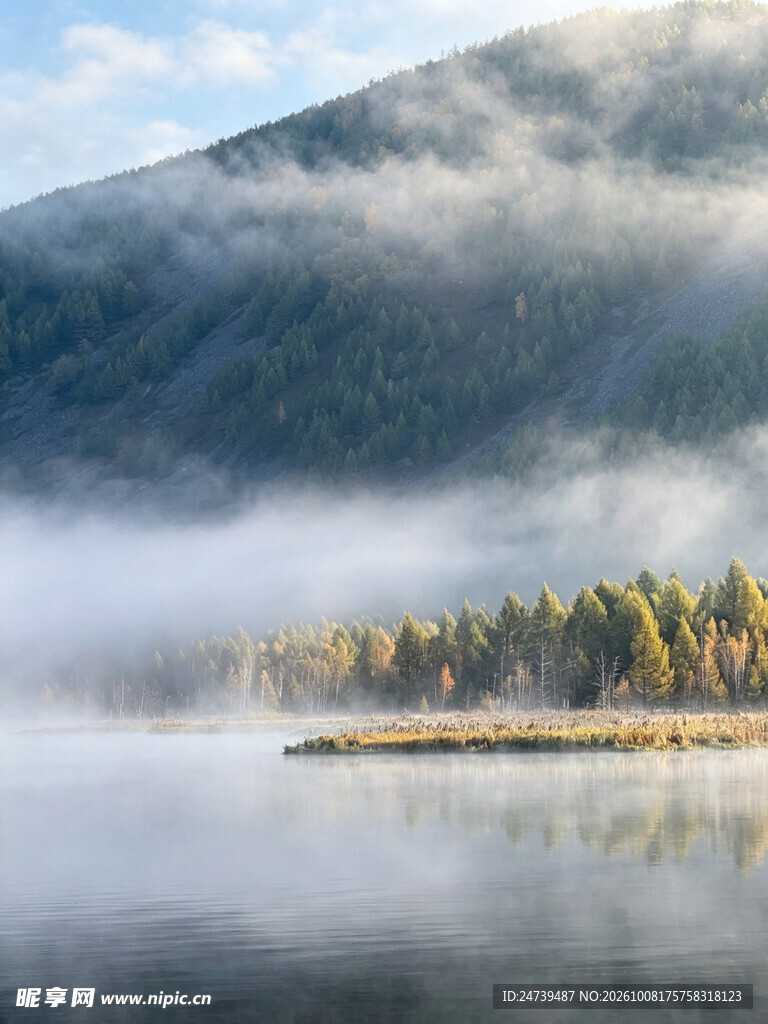 晨雾河畔山林风光