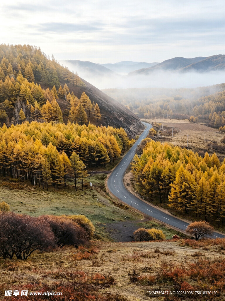 秋日山谷公路晨雾风光