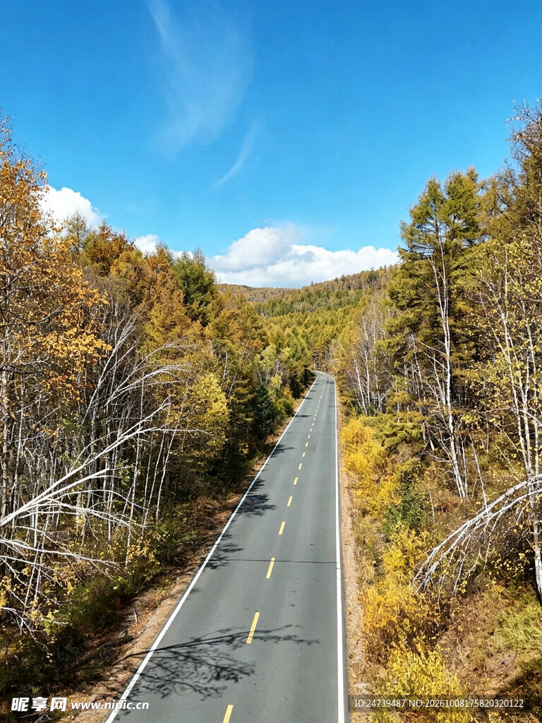 秋日林间公路风光
