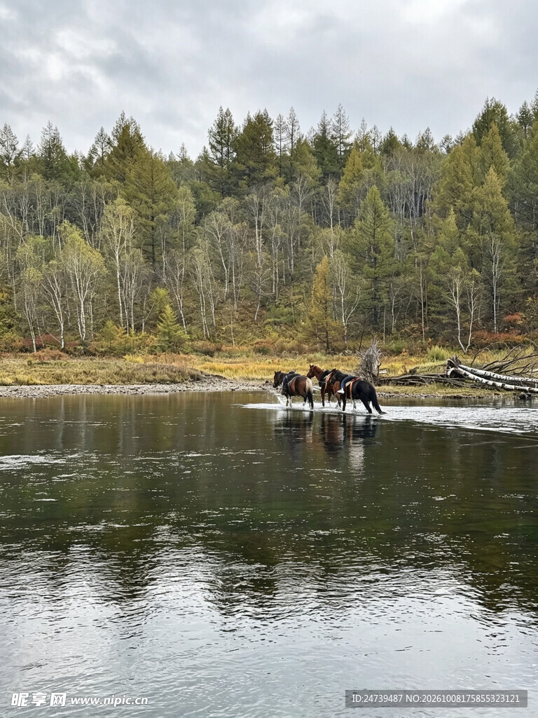 郊野河畔骑马涉水