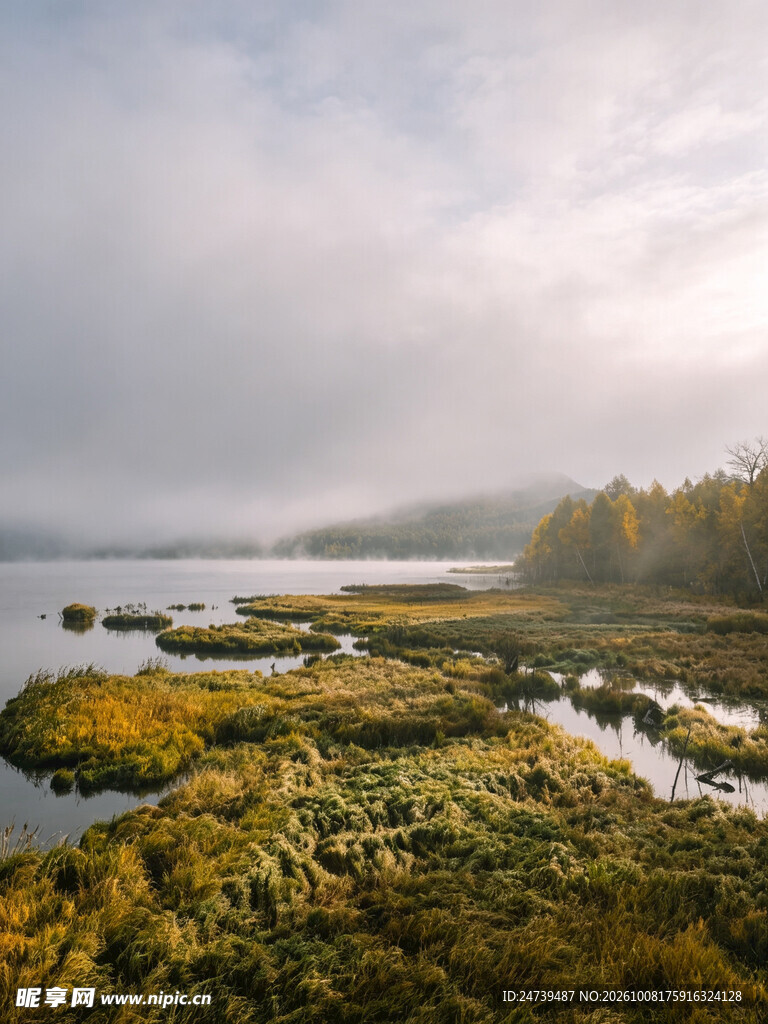 雾中湿地河畔秋景