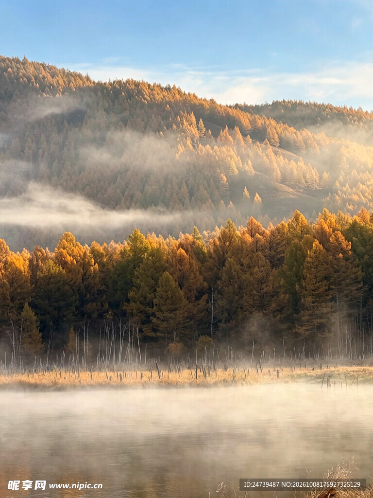 秋日山林晨雾美景