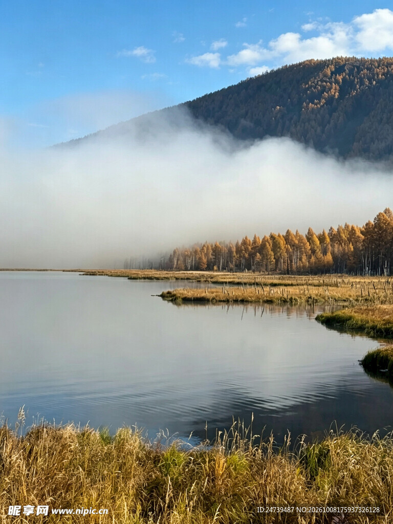 秋日河畔晨雾风光