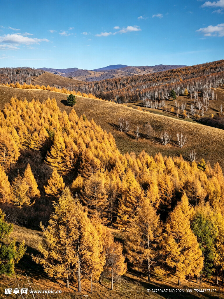 内蒙古阿尔山秋景