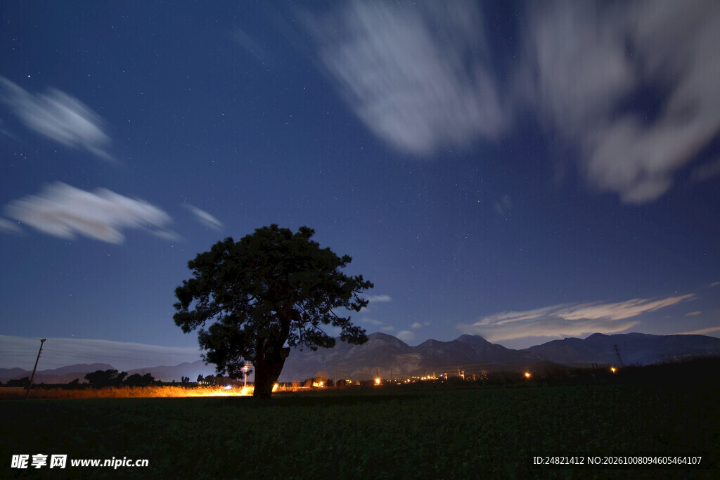 暮色郊野孤树夜景