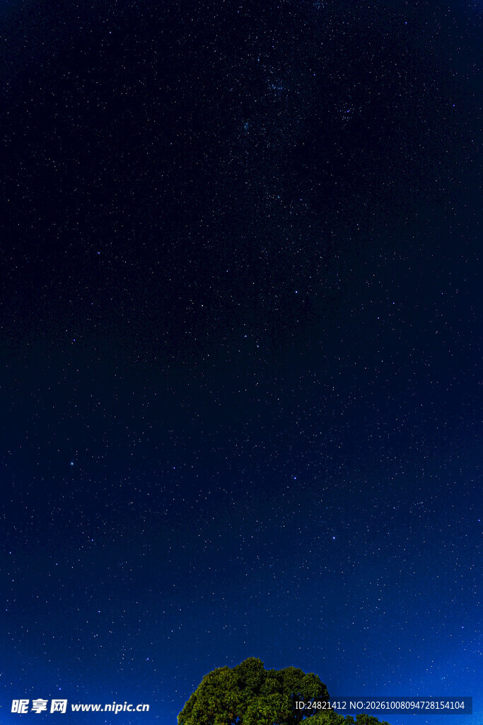 深蓝夜空暮色树影
