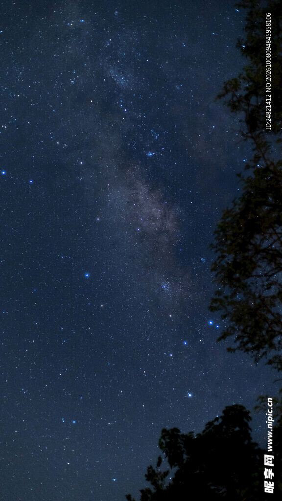 暗夜星空树影