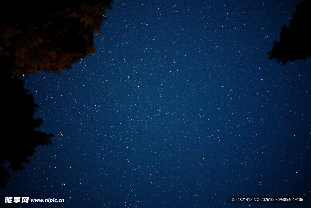 深蓝夜空树影剪影
