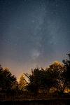暮色郊野树林夜空