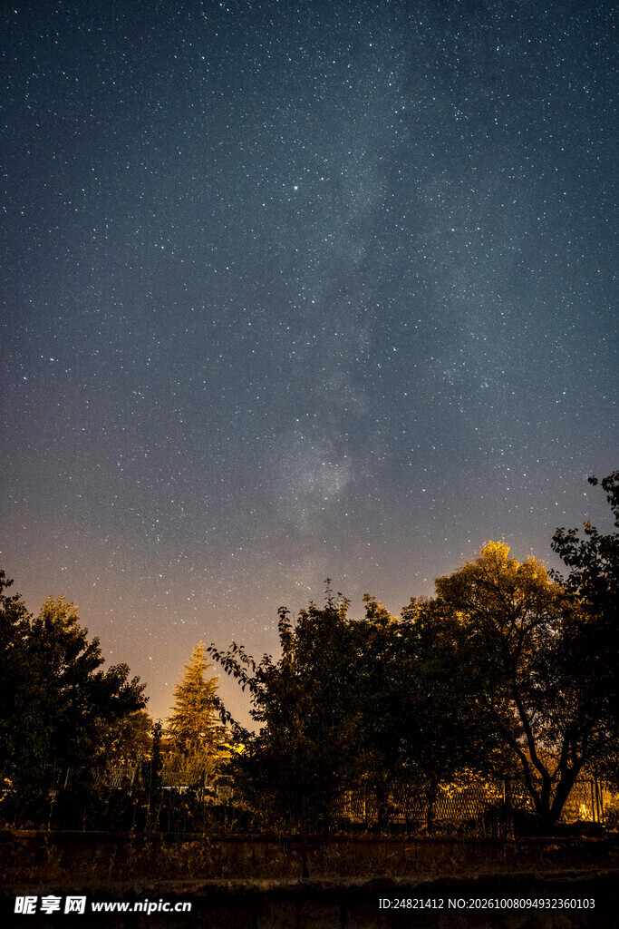 暮色郊野树林夜空