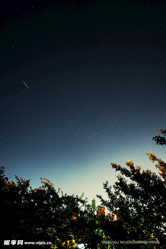 暮色夜空树影小景