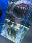 水族馆内的长颈龟