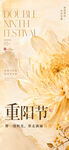重阳节菊花主题海报