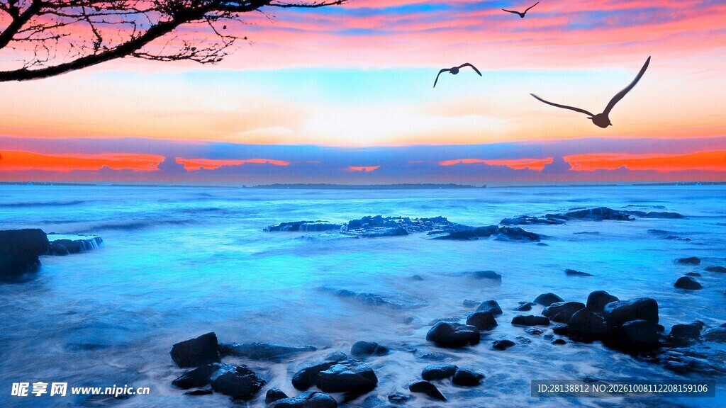 海边日落飞鸟美景