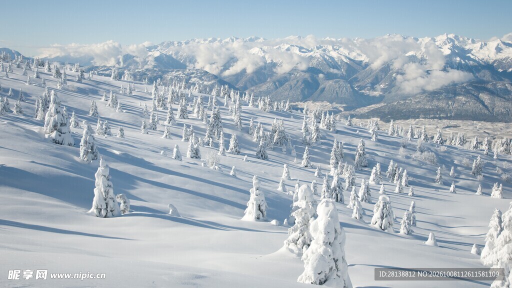 冬日雪原雪山风光