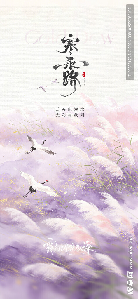 寒露国风节气海报