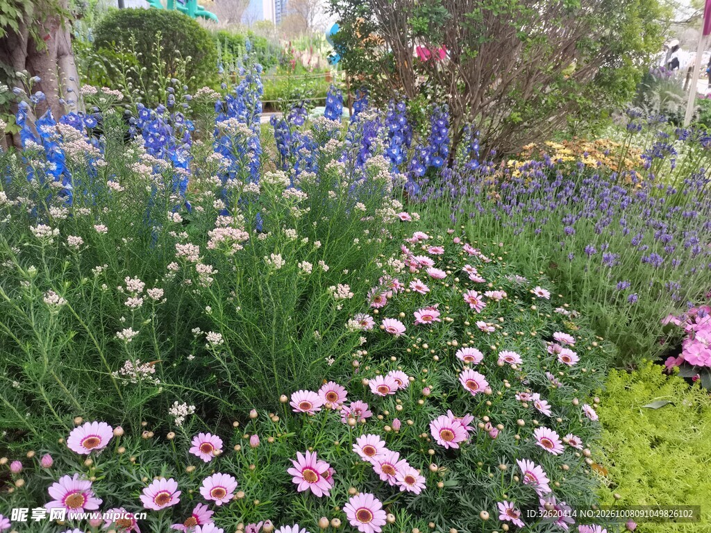 园林多彩花境