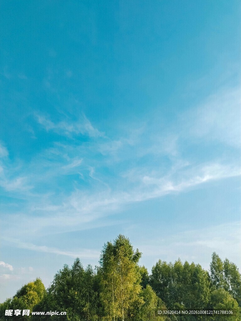 蓝天绿树清新风光