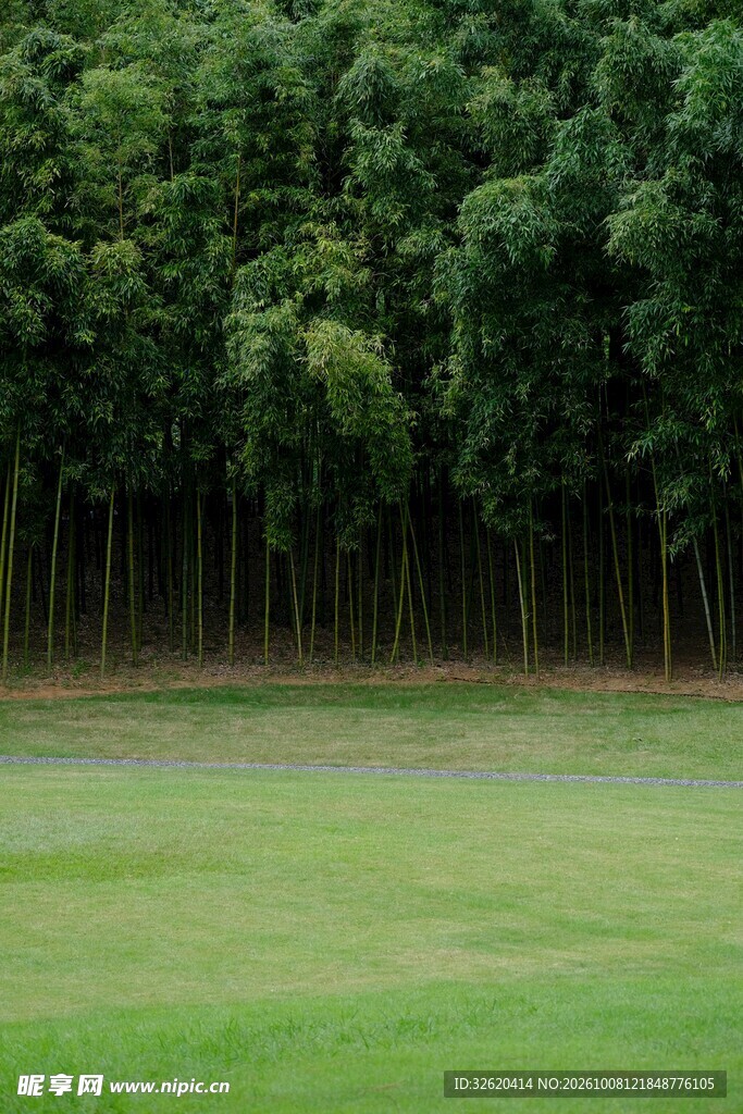 郊野草坪与茂密林带