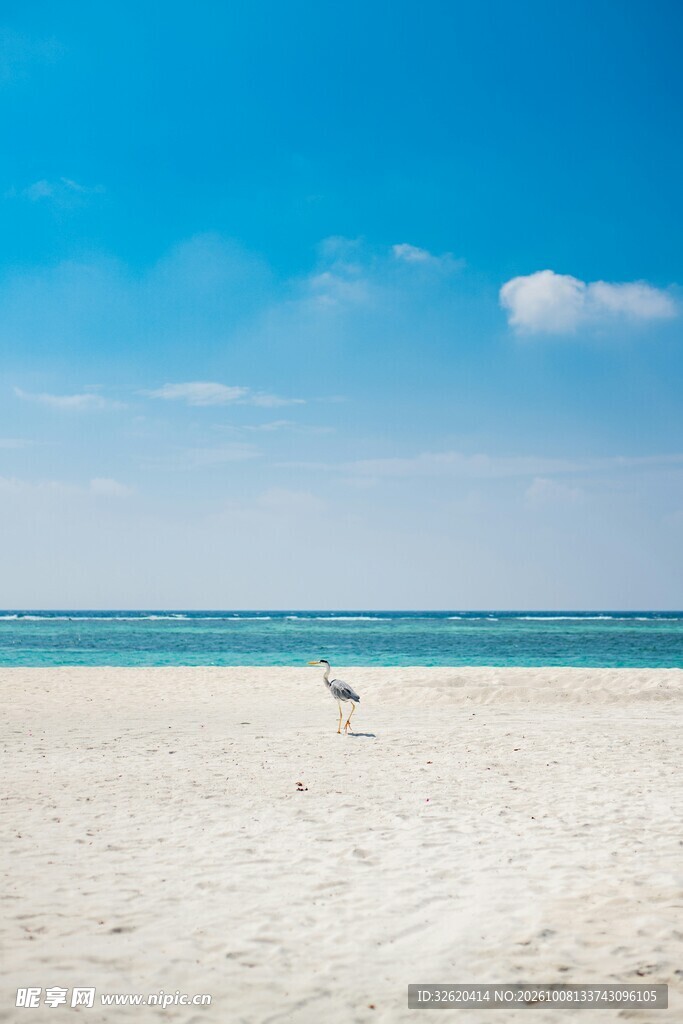 清新夏日海滩风光