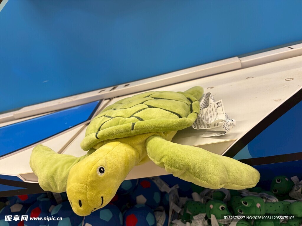 海龟