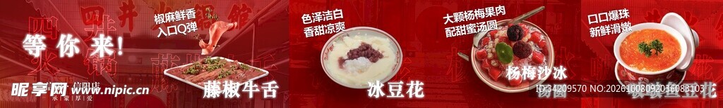 眼球发育过程示意图