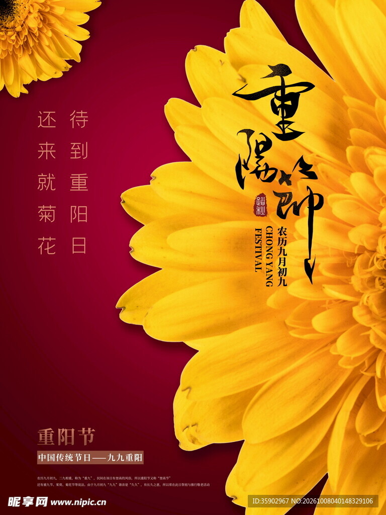 重阳节菊花主题海报