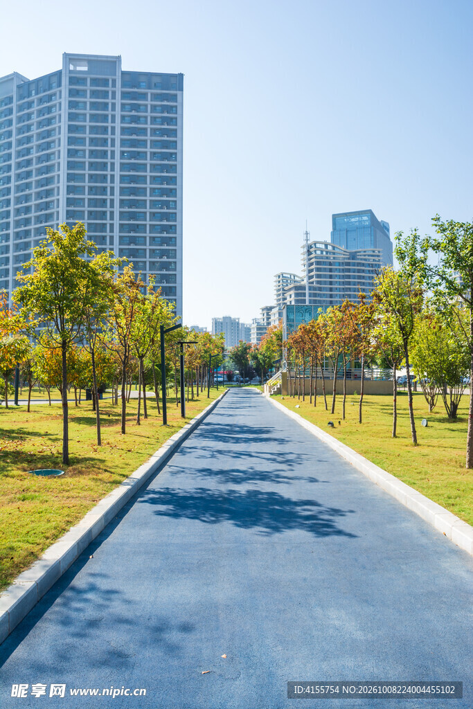 城市林荫步道风景