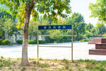户外公告栏绿树场景
