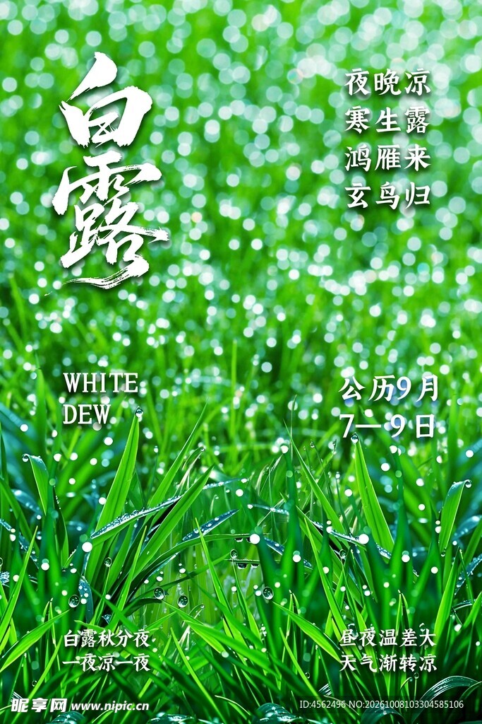 白露节气主题海报