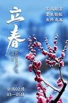 立春节气花枝海报