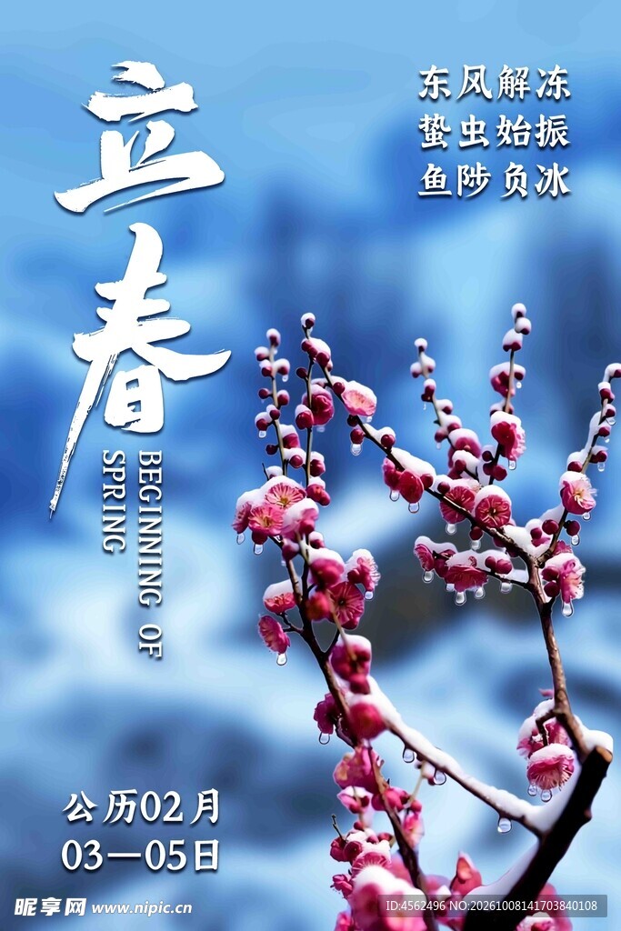 立春节气花枝海报