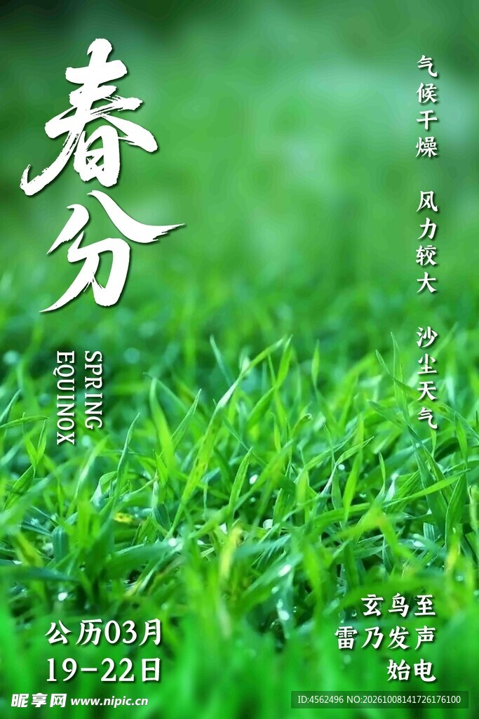 春分节气清新海报