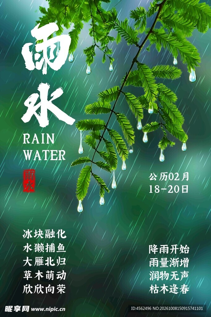 雨水节气创意海报