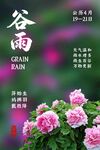 谷雨牡丹节气海报