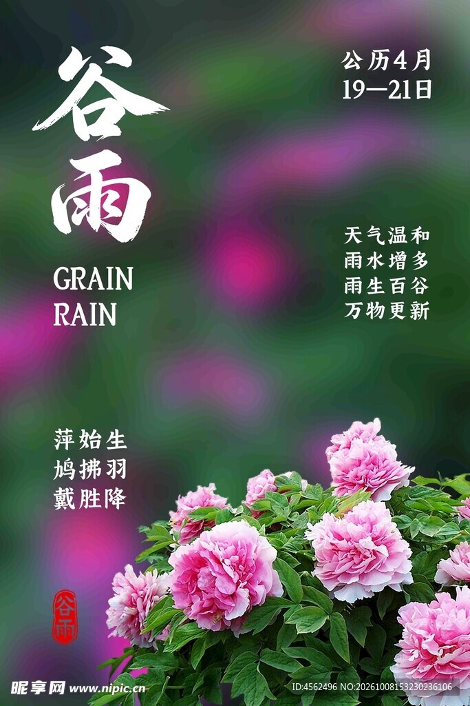 谷雨牡丹节气海报