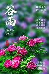 谷雨节气花卉海报