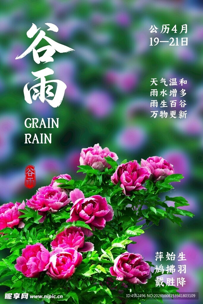 谷雨节气花卉海报