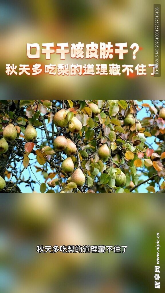 秋日润燥养生科普海报