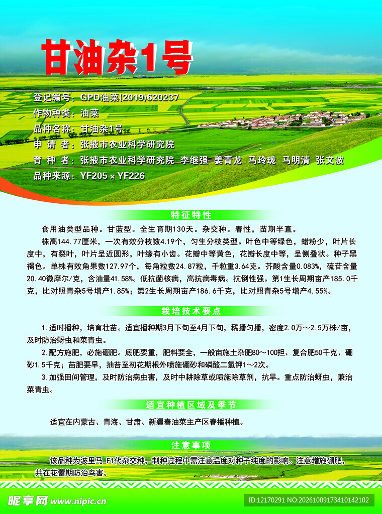 甘油杂1号品种介绍海报