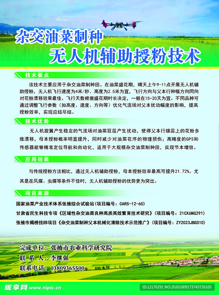 杂交油菜制种授粉技术