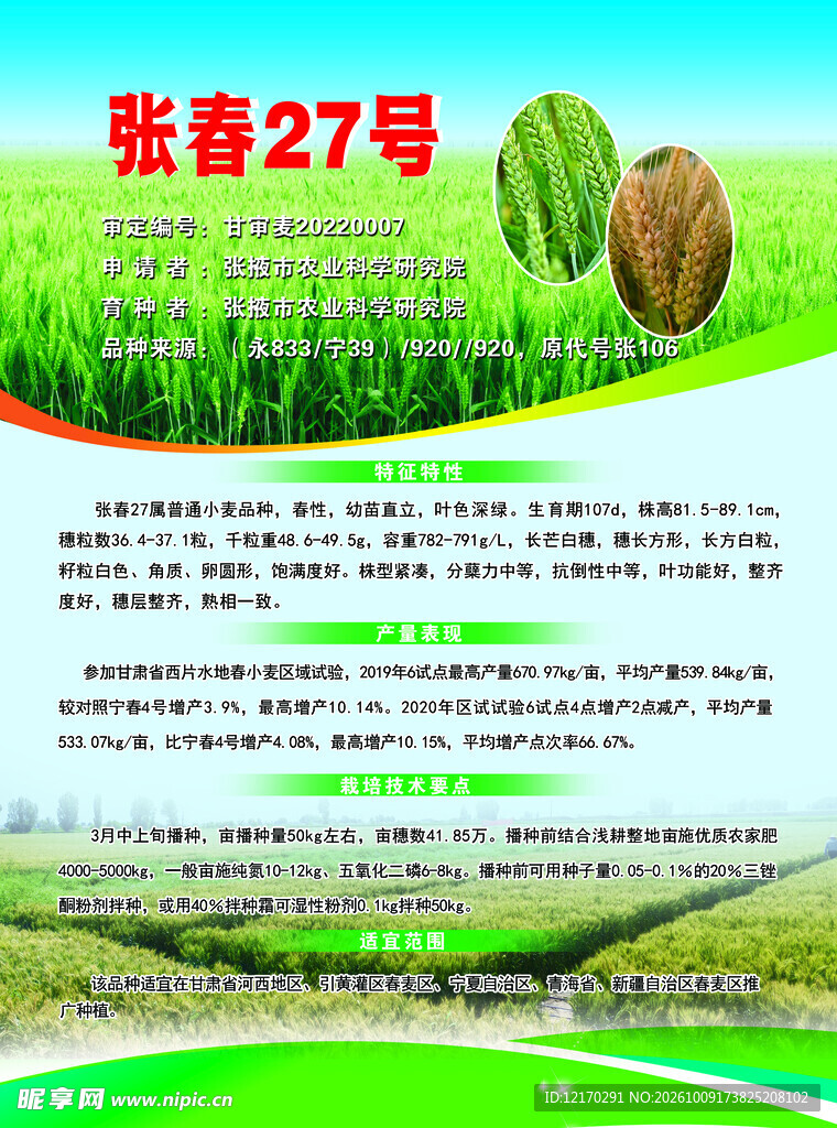 张春27号品种宣传海报